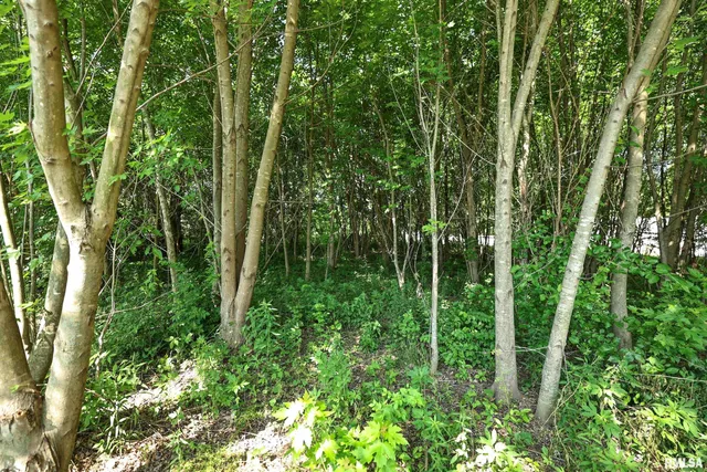 $27,000 | 8739 East Turner Highway, Astoria, IL 61501