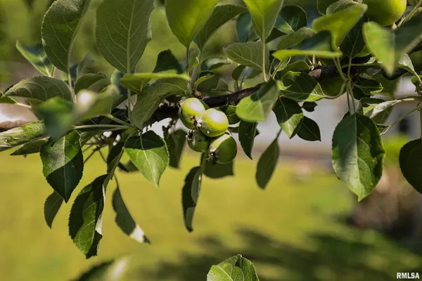 $17,000 | 8739 East Turner Highway, Astoria, IL 61501