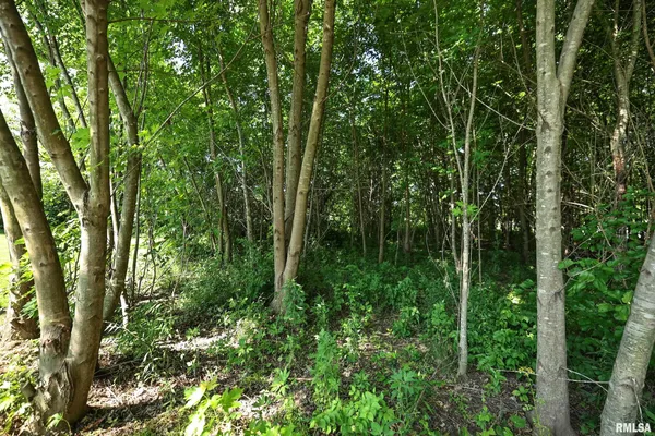 $17,000 | 8739 East Turner Highway, Astoria, IL 61501