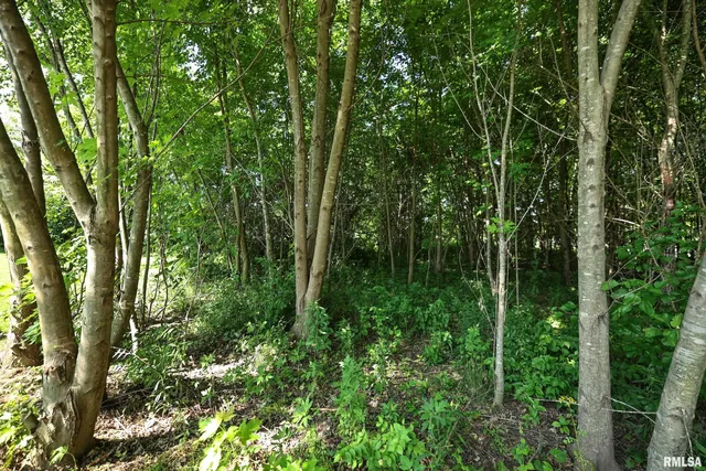 $27,000 | 8739 East Turner Highway, Astoria, IL 61501