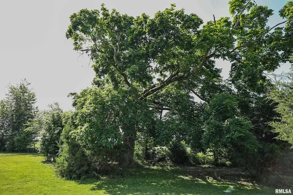 $17,000 | 8739 East Turner Highway, Astoria, IL 61501