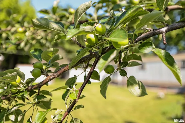 $17,000 | 8739 East Turner Highway, Astoria, IL 61501