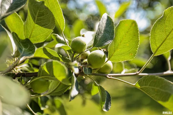 $17,000 | 8739 East Turner Highway, Astoria, IL 61501