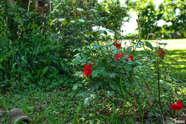 $17,000 | 8739 East Turner Highway, Astoria, IL 61501