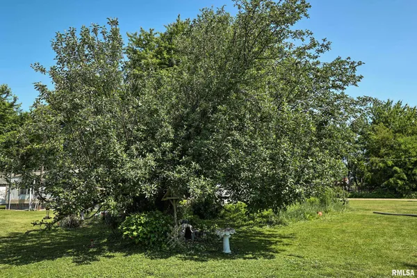 $17,000 | 8739 East Turner Highway, Astoria, IL 61501