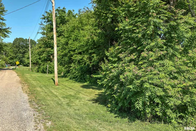 $27,000 | 8739 East Turner Highway, Astoria, IL 61501