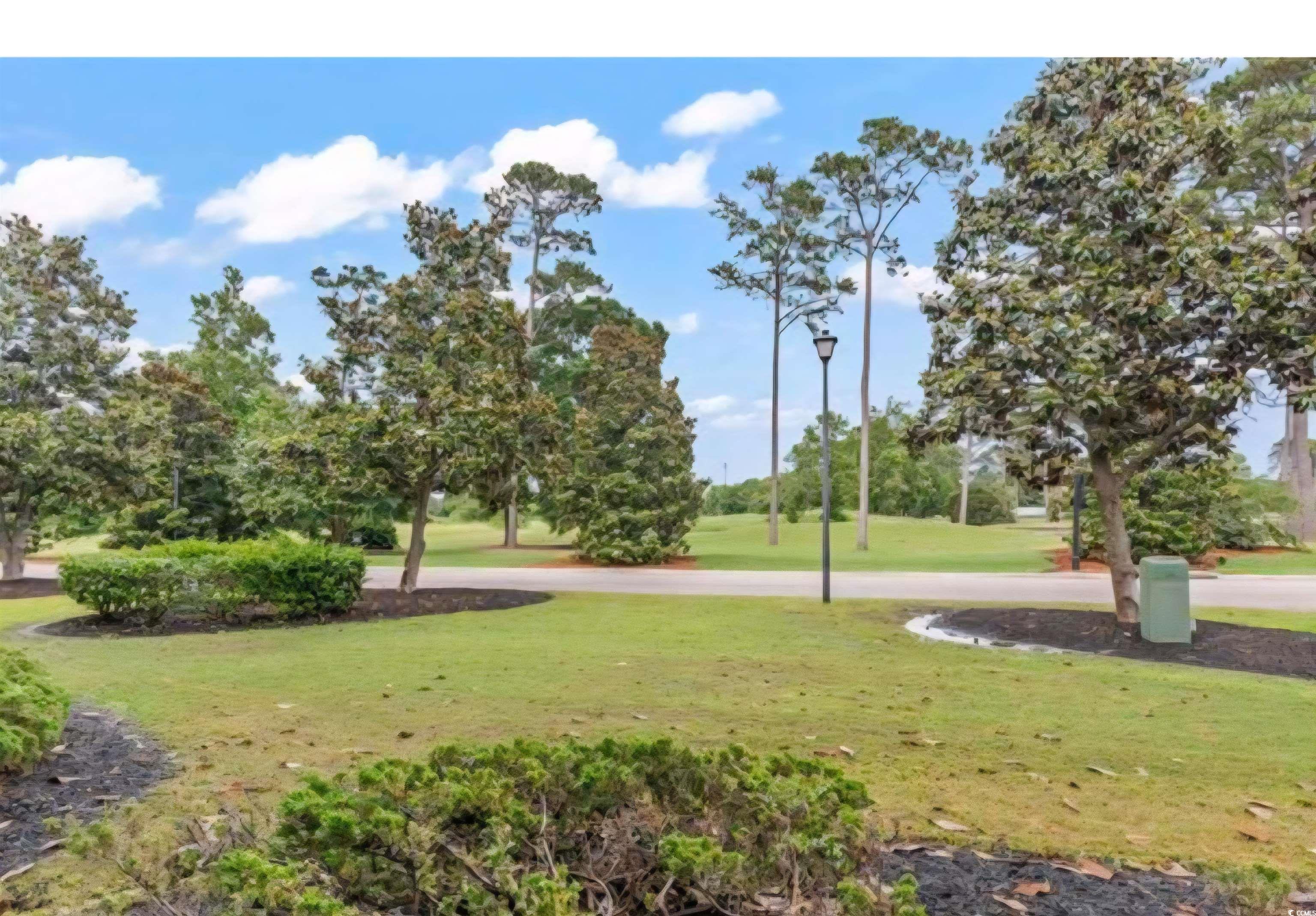 1009 World Tour Boulevard Myrtle Beach, SC 29579 - Photo 19 of 36 View of community with a yard and view of scattered trees