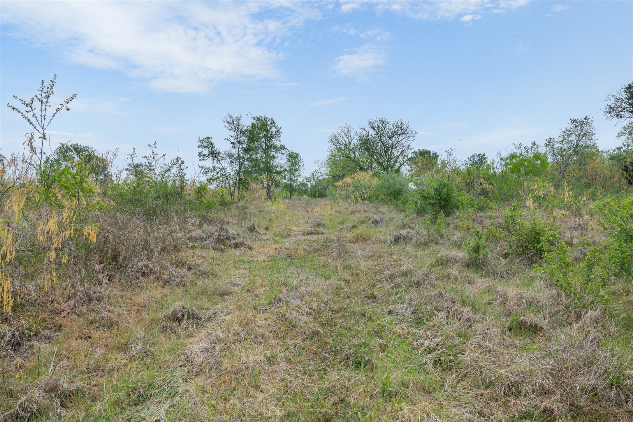 579 Lower Elgin Road Elgin, TX 78621 - Photo 20 of 40 a view of a field with trees in background