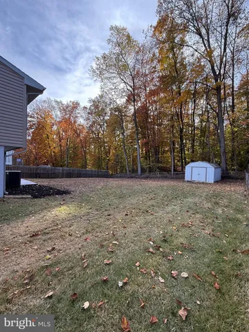 a view of a yard with a tree