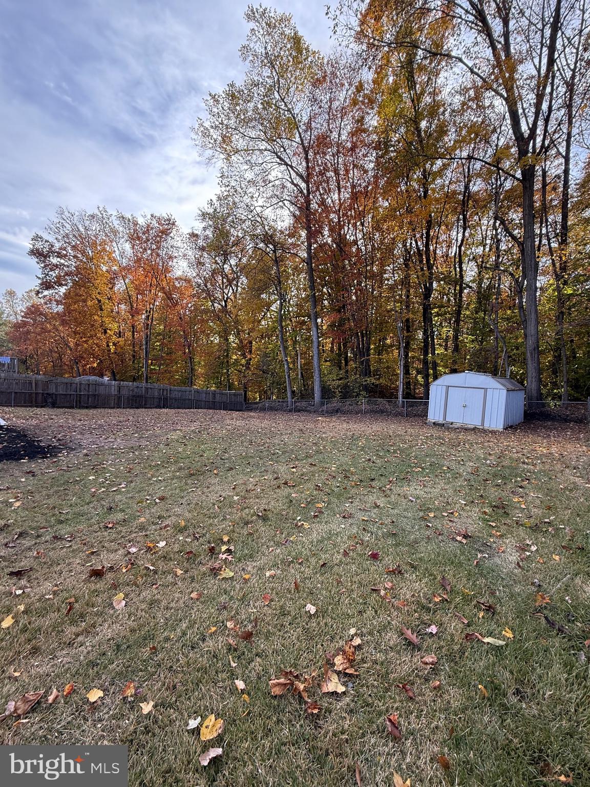 13014 Kerrydale Road Woodbridge, VA 22193 - Photo 19 of 53 a view of a yard with a trees