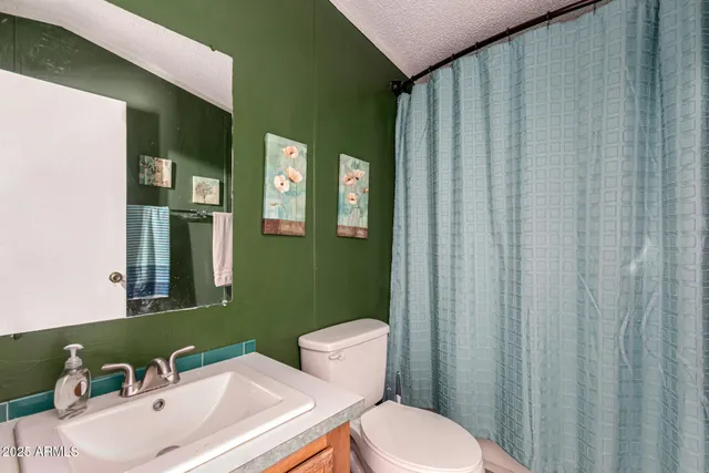 a bathroom with a sink a toilet and shower curtain