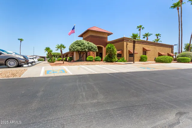 a view of the patio with chairs and potted plants