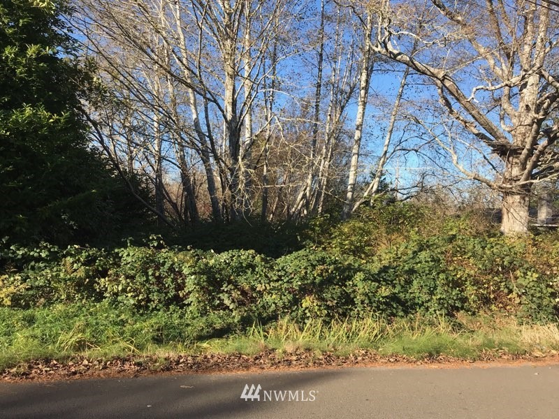 1905 Harding Road Aberdeen, WA 98520 - Photo 1 of 3 Gallery Image 1