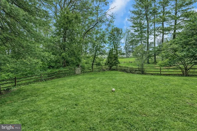 a view of a field with trees in the background