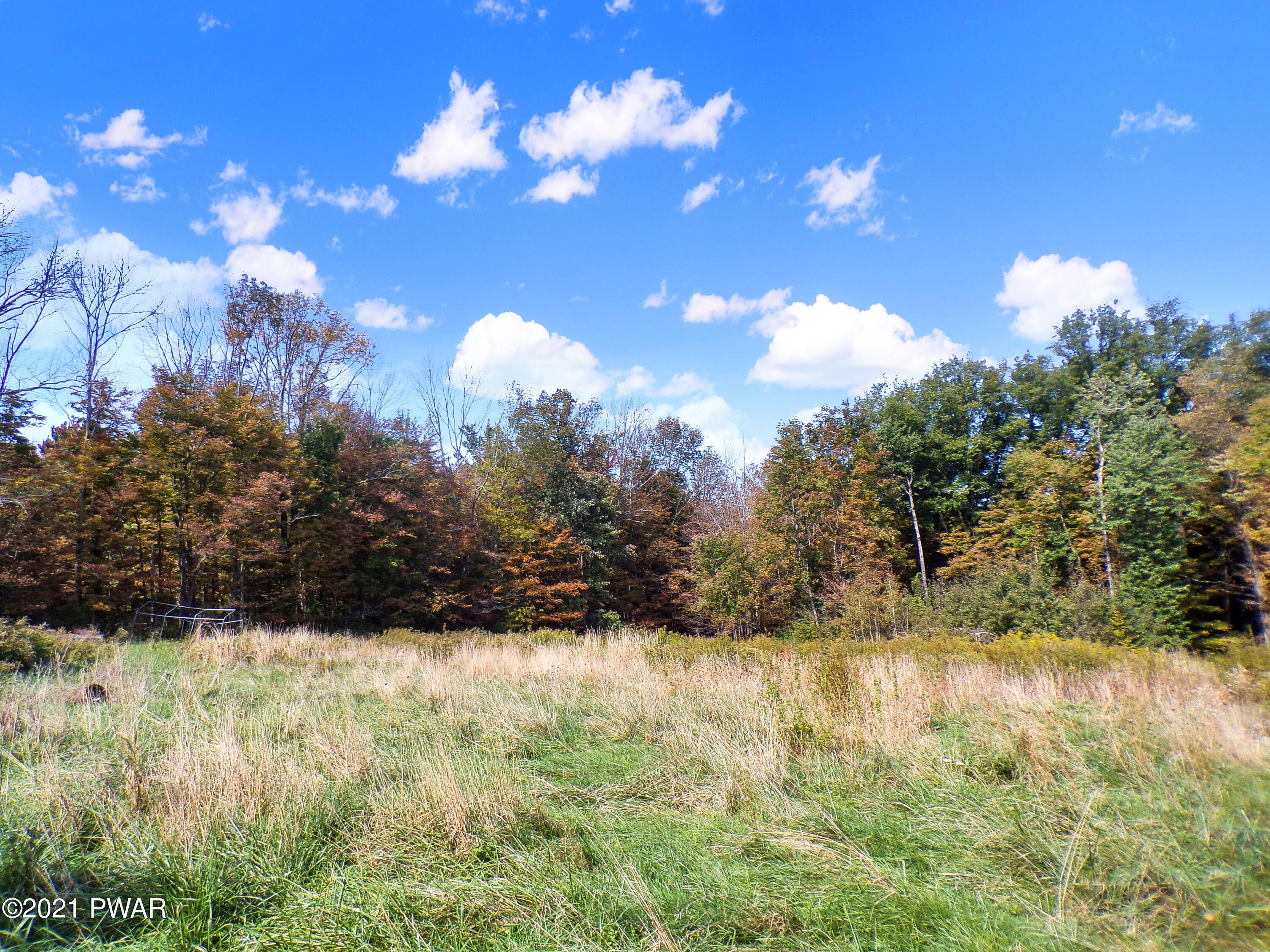 86 Gas Hollow Road Newfoundland, PA 18445 - Photo 11 of 13