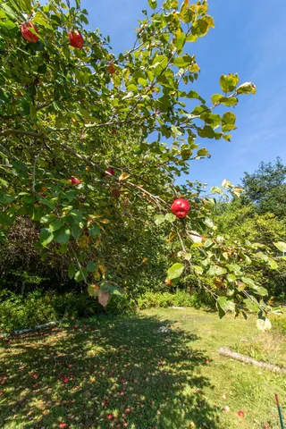 $434,900 | 3041 Cross Road, Jay, VT 05859