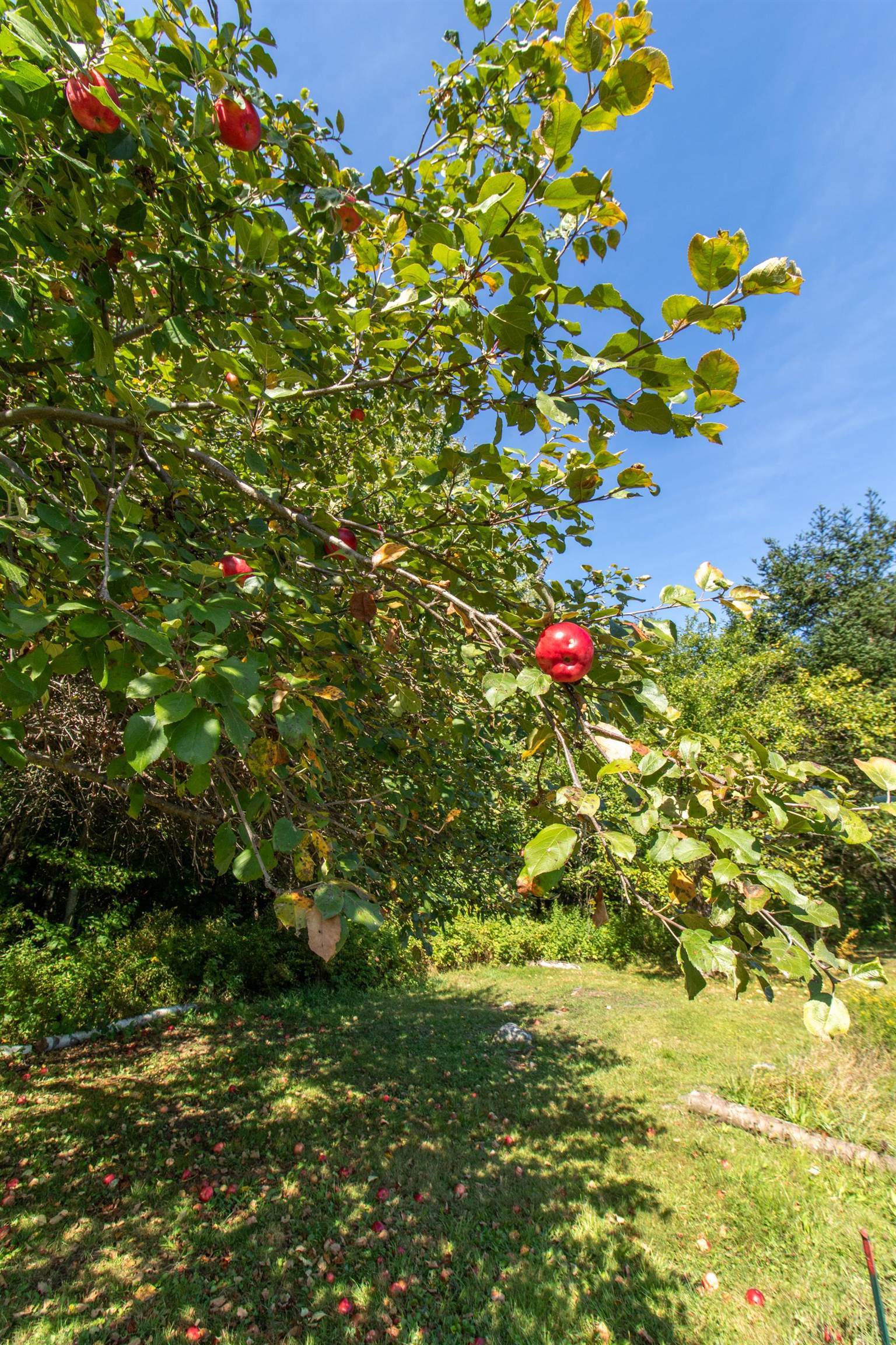 3041 Cross Road Jay, VT 05859 - Photo 50 of 60
