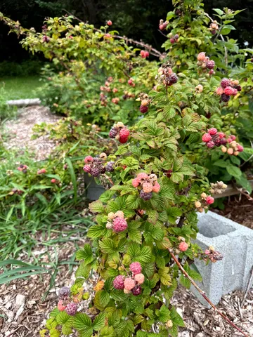 $434,900 | 3041 Cross Road, Jay, VT 05859