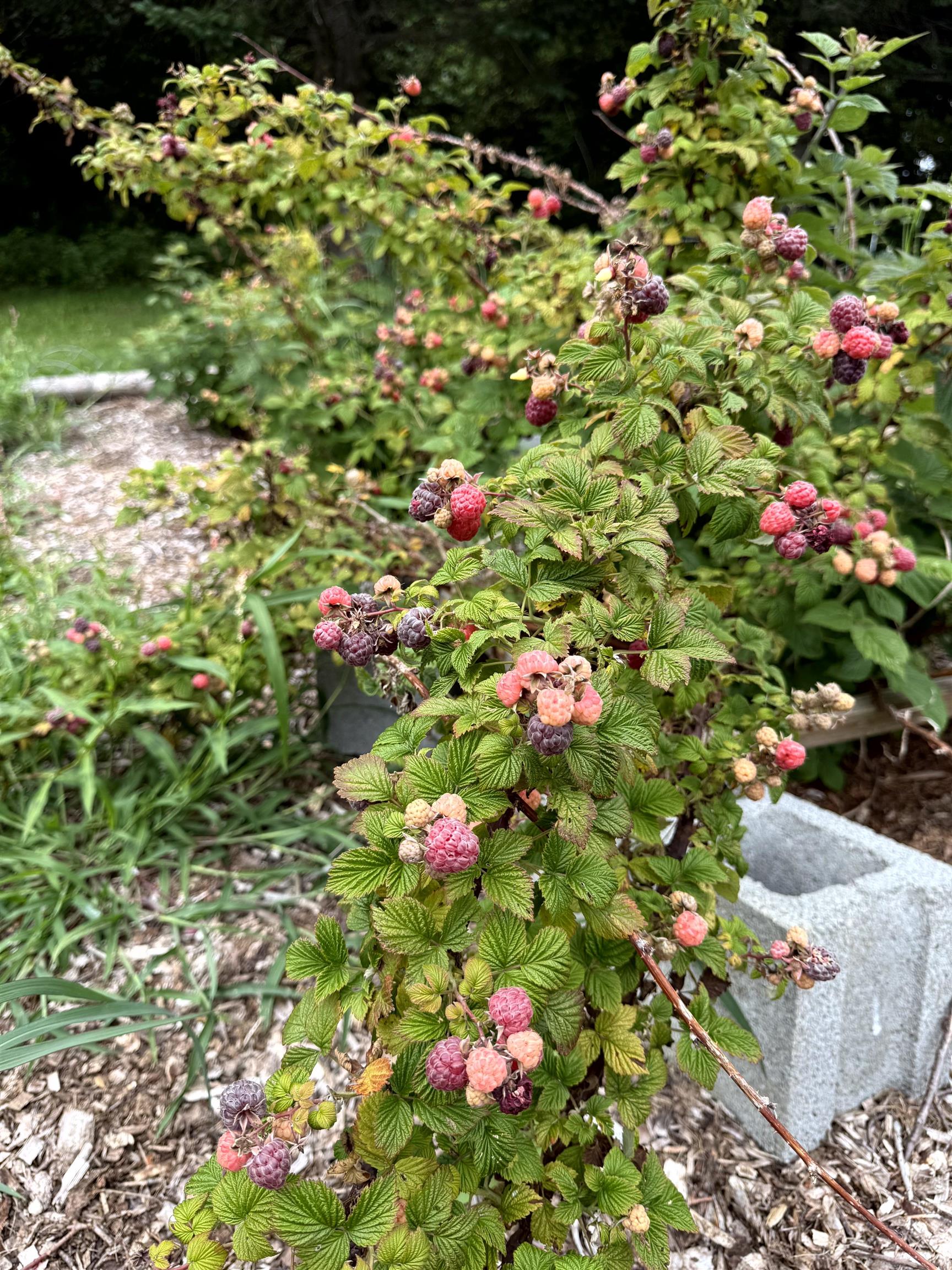 3041 Cross Road Jay, VT 05859 - Photo 52 of 60