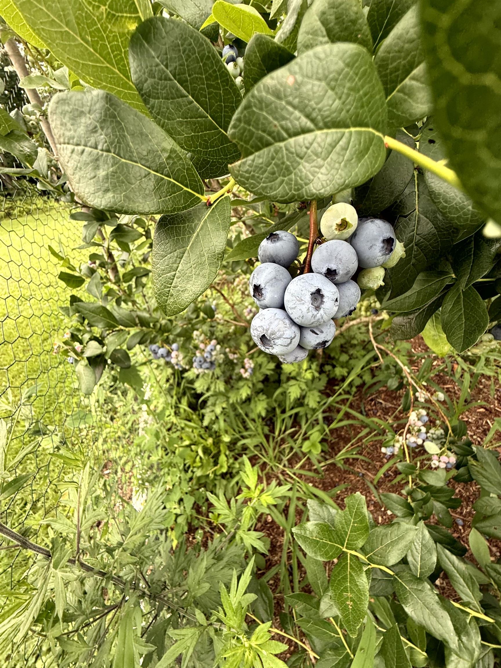 3041 Cross Road Jay, VT 05859 - Photo 53 of 60