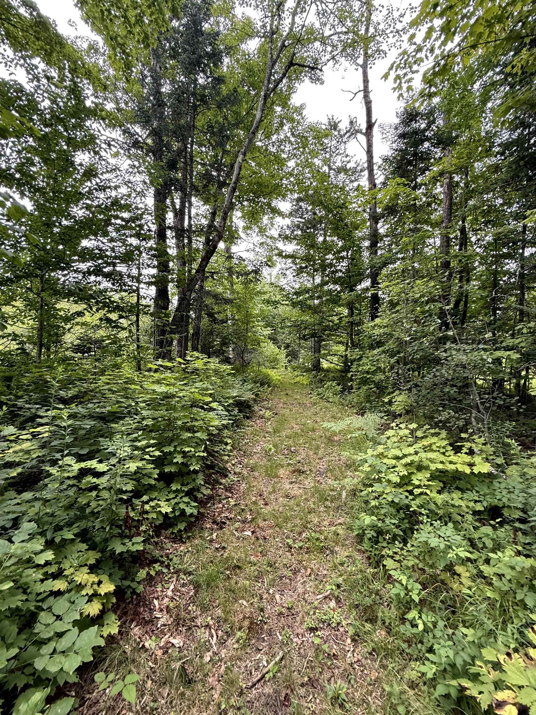 3041 Cross Road Jay, VT 05859 - Photo 54 of 60