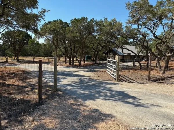 a view of park with tree