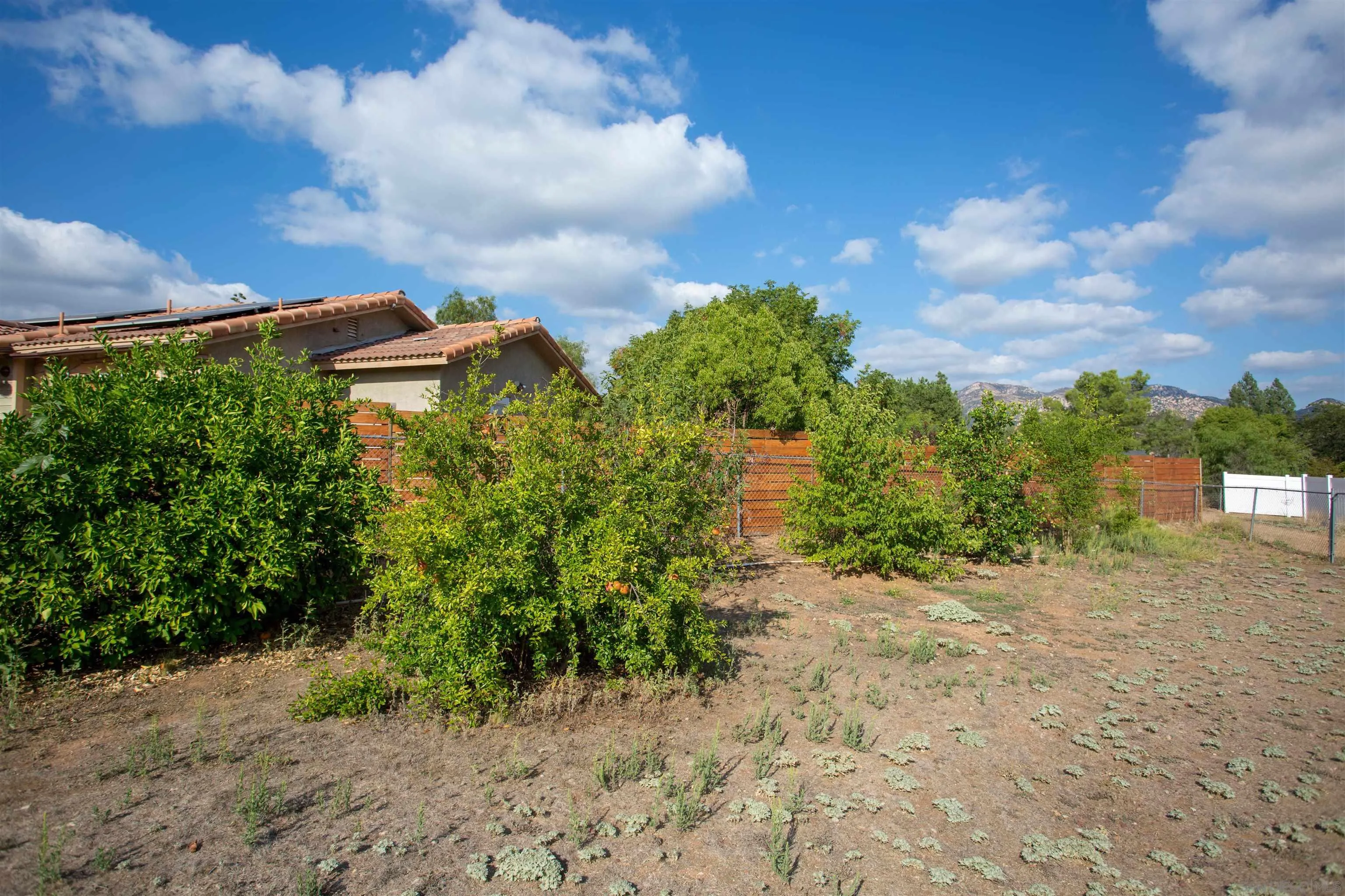 23641 Springwood Drive Ramona, CA 92065 - Photo 28 of 34 a view of a pathway with a yard