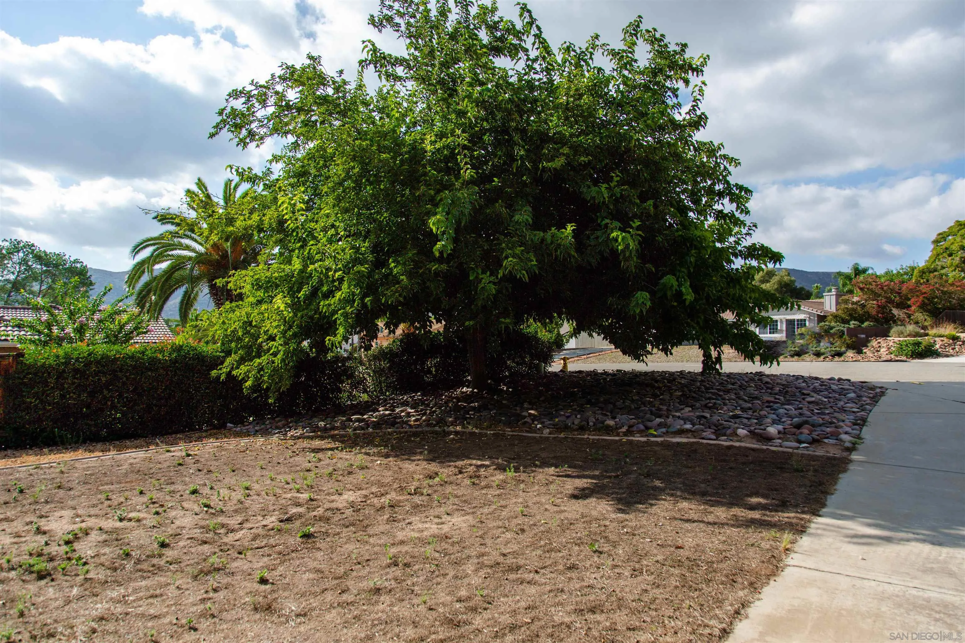 23641 Springwood Drive Ramona, CA 92065 - Photo 33 of 34 a view of a yard with plants and trees