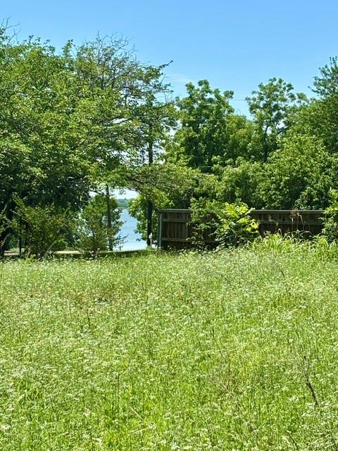 1345 Mike Road Quinlan, TX 75474 - Photo 4 of 5 Back of Lot with View