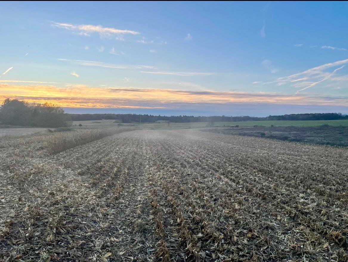 Tbd 85th Street Clear Lake, WI 54005 - Photo 1 of 4