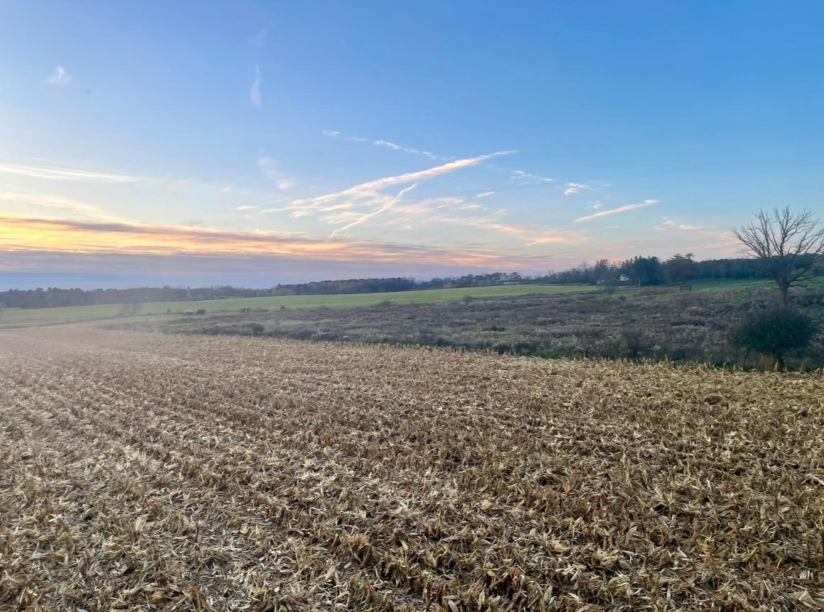 Tbd 85th Street Clear Lake, WI 54005 - Photo 2 of 4