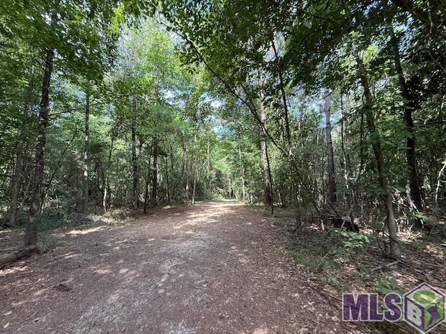 401 Montgomery Road Southwest Summit, MS 39666 - Photo 12 of 20