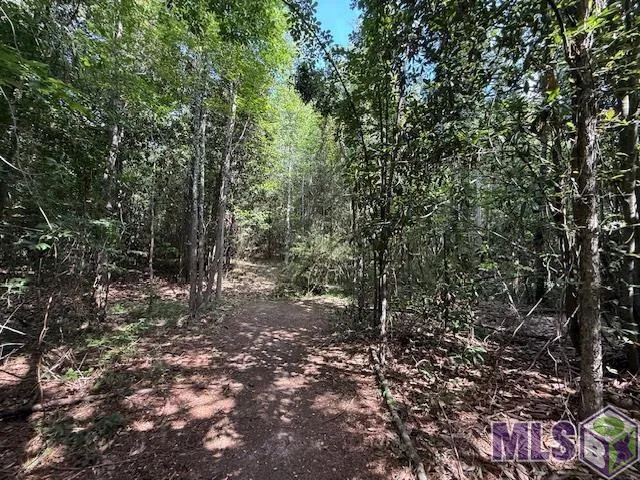 $320,000 | 401 Montgomery Road Southwest, Summit, MS 39666