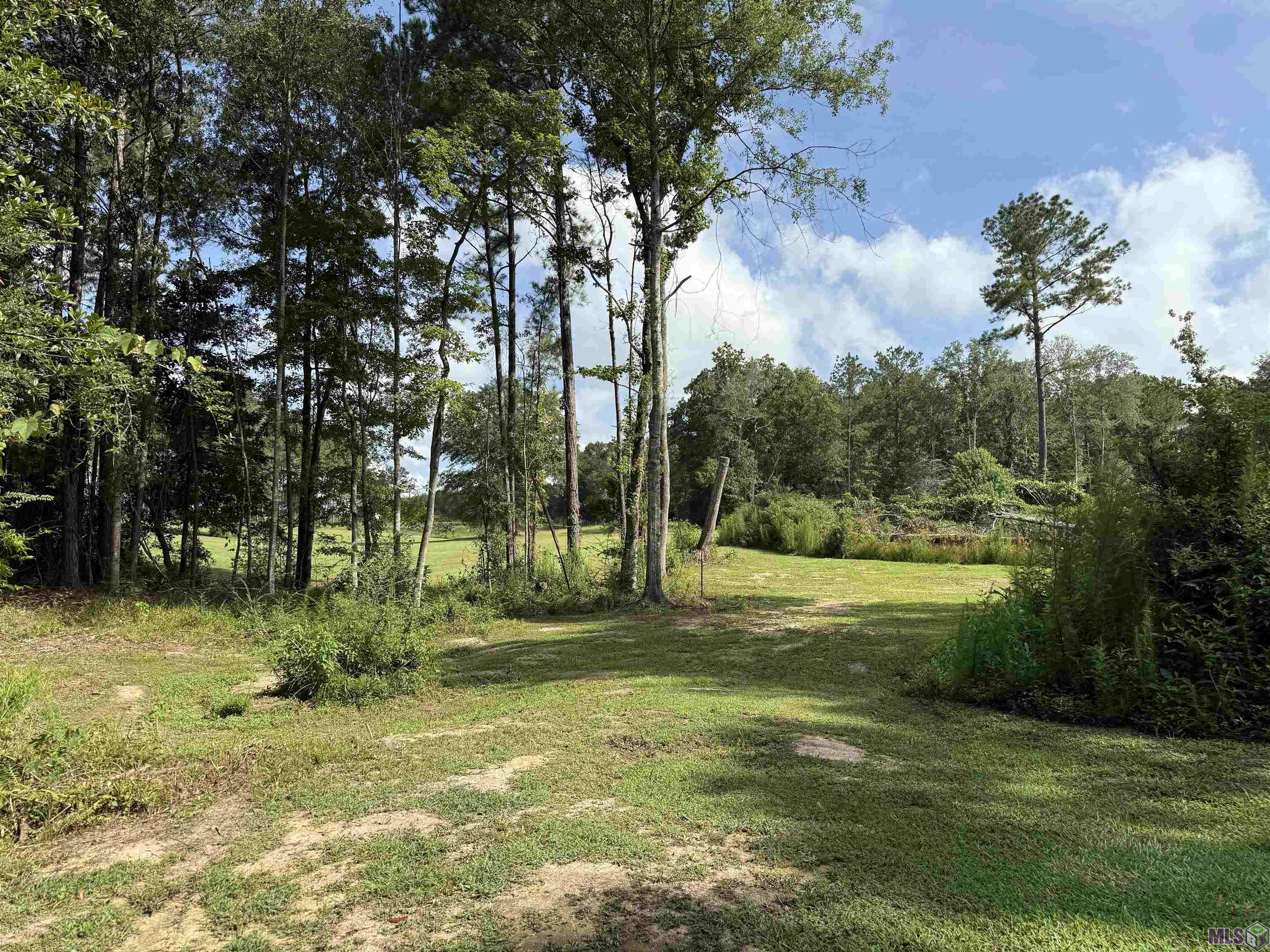 401 Montgomery Road Southwest Summit, MS 39666 - Photo 3 of 20