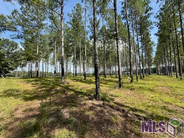 $299,000 | 401 Montgomery Road Southwest, Summit, MS 39666