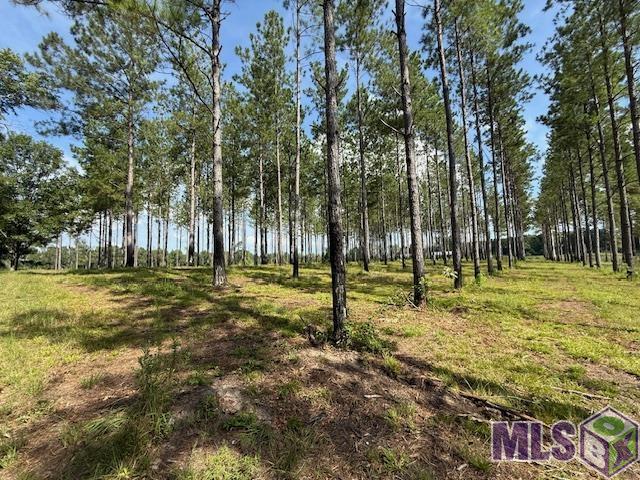 401 Montgomery Road Southwest Summit, MS 39666 - Photo 5 of 20