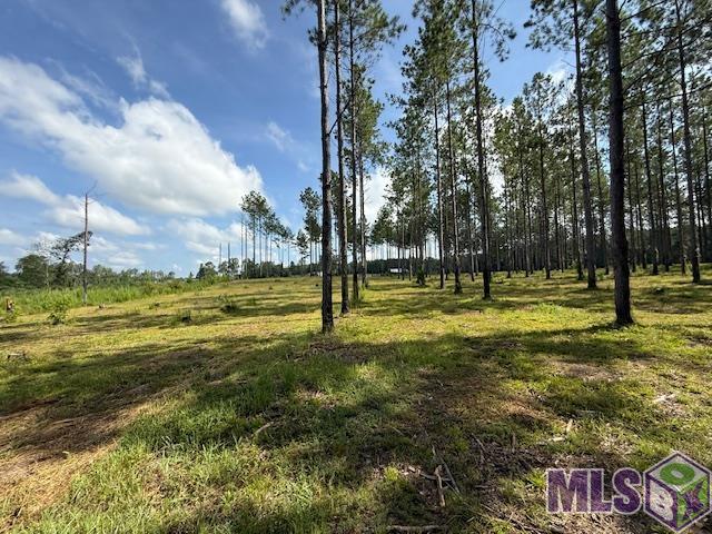 401 Montgomery Road Southwest Summit, MS 39666 - Photo 6 of 20