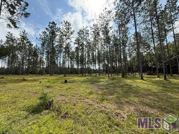 $299,000 | 401 Montgomery Road Southwest, Summit, MS 39666