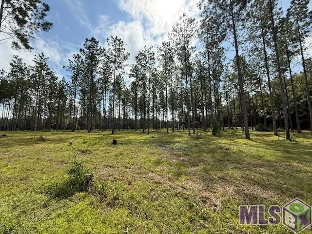 $320,000 | 401 Montgomery Road Southwest, Summit, MS 39666