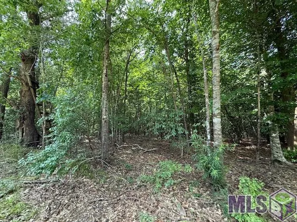 $299,000 | 401 Montgomery Road Southwest, Summit, MS 39666