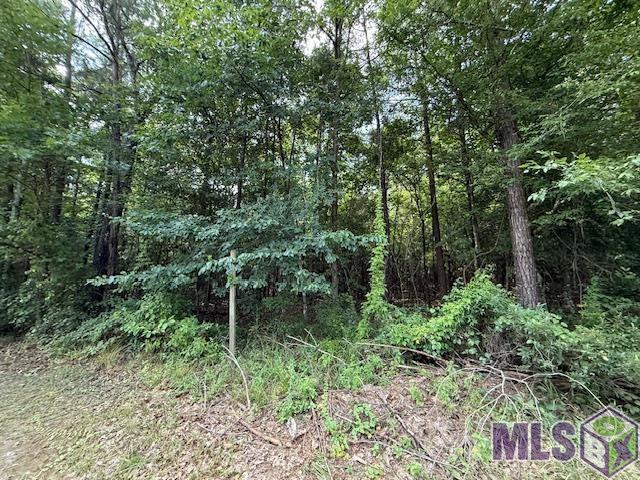 401 Montgomery Road Southwest Summit, MS 39666 - Photo 9 of 20
