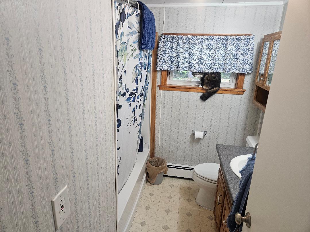 533 Kirkland Road Old Town, ME 04468 - Photo 24 of 53 thumbnail - 2026-05-30T075253.837