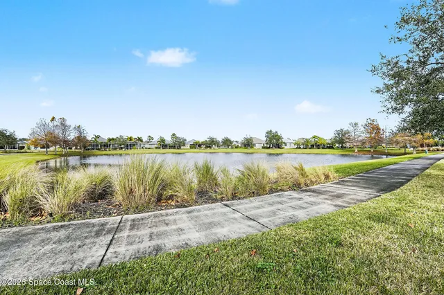 a view of a yard with an trees