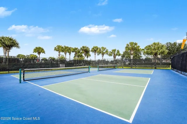 a view of a swimming pool with a yard and palm trees