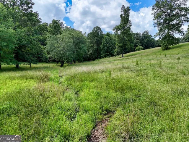 a view of a grassy field with trees in the background