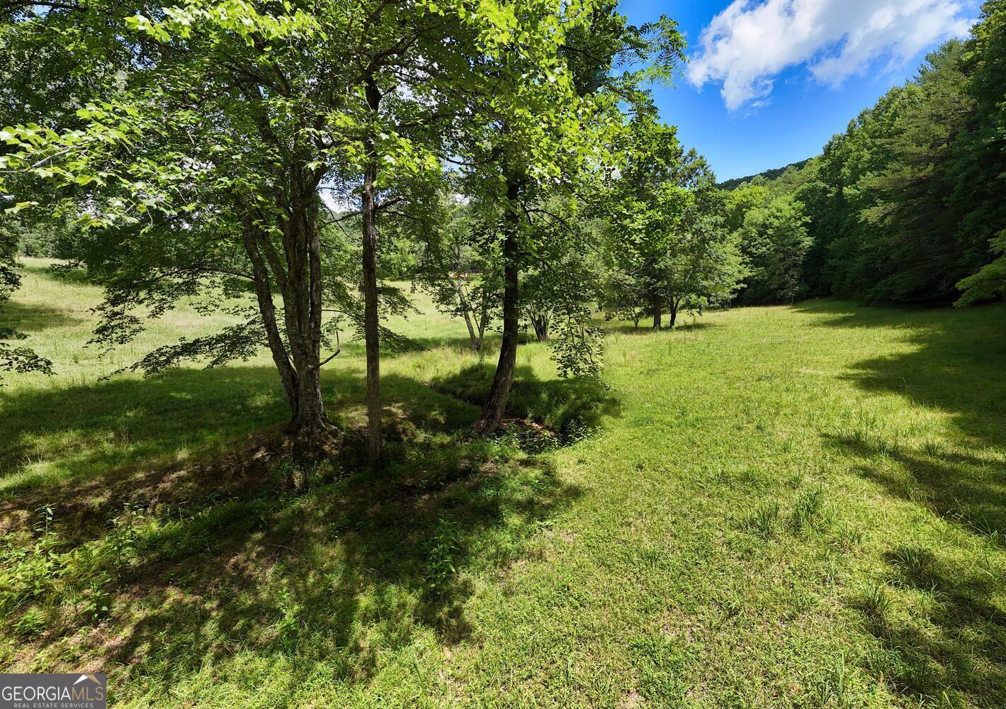 3291 Moccasin Creek Road Murphy, NC 28906 - Photo 13 of 78