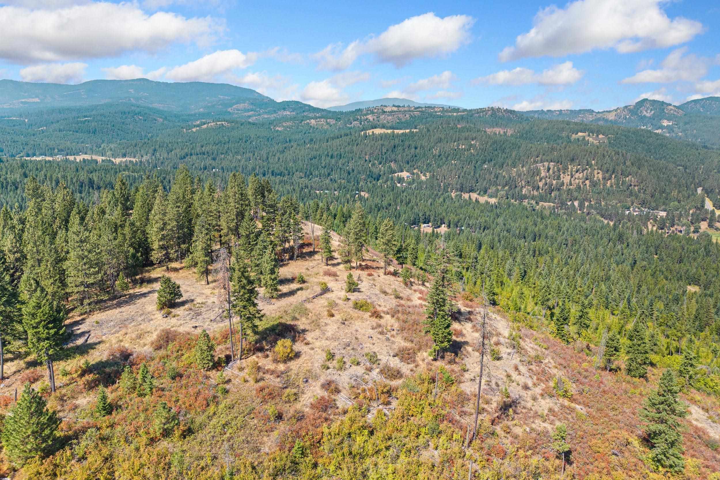 Nka Hoag Road Valley, WA 99181 - Photo 10 of 35 Gallery Image 10
