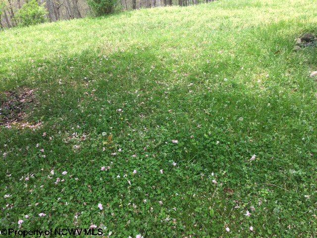 1224 Grove Summers Road New Milton, WV 26411 - Photo 13 of 13 Gallery Image 13