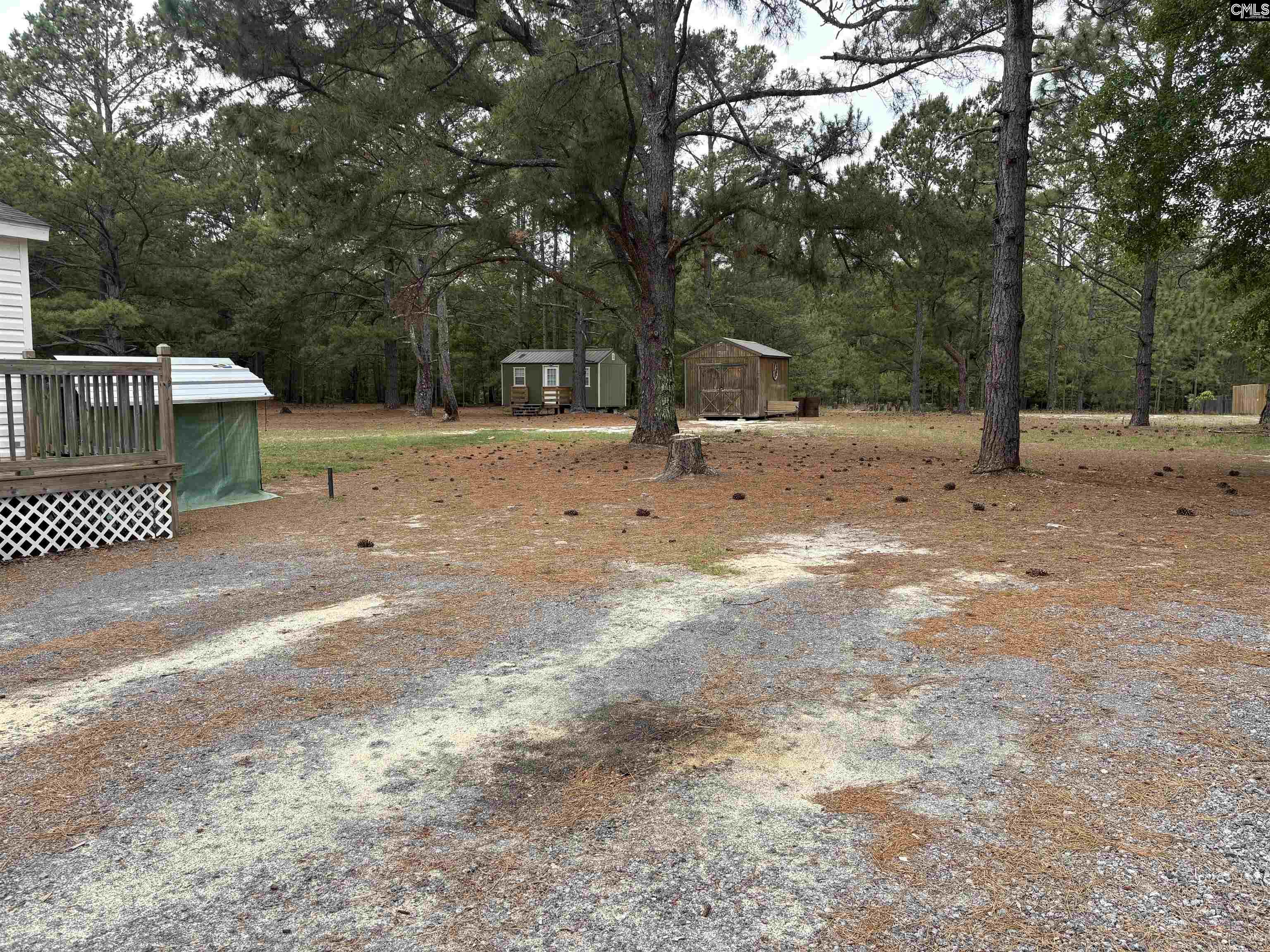 546 Gus Sturkie Road Swansea, SC 29160 - Photo 11 of 18
