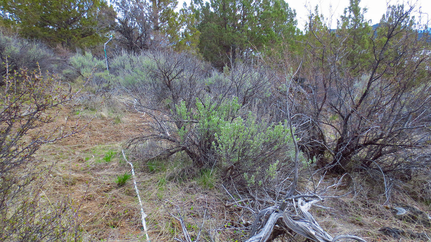 Lot 1 Drews Ranch Road Chiloquin, OR 97624 - Photo 4 of 8 em 1ooo